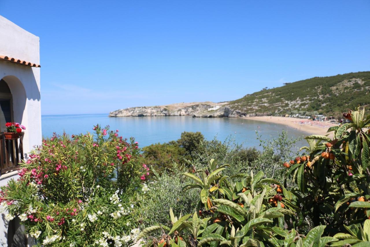 Albergo"Villa Biscotti" Peschici Exteriör bild